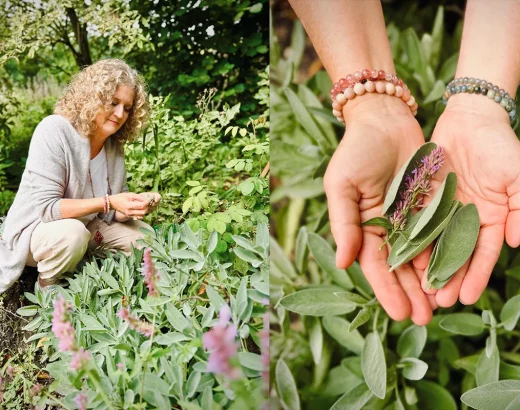 karin-feldmann-kraueter