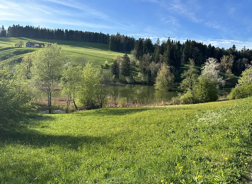 natur-erleben natur-erleben