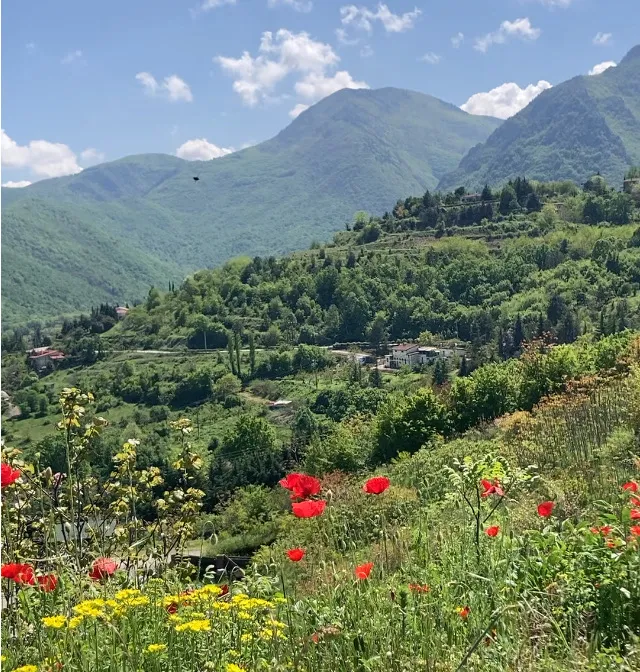 Bermio-Landschaft Naturlandschaft